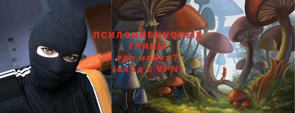 хмурый Абинск