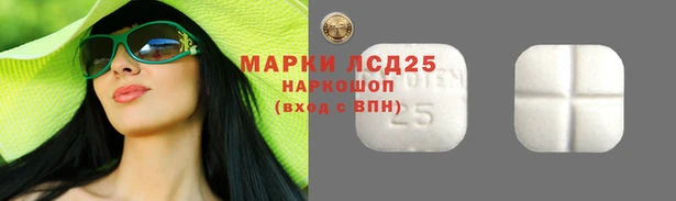 хмурый Абинск