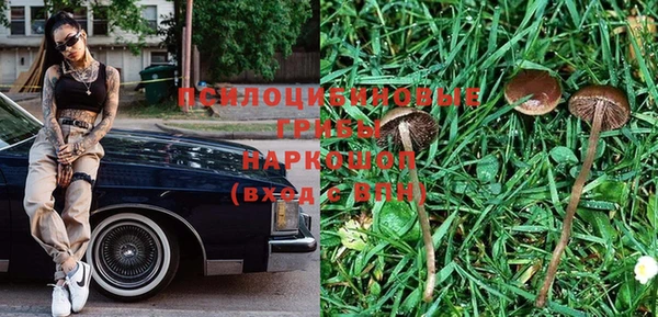 прущая мука Новозыбков