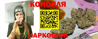 jwh Кингисепп