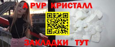 jwh Кингисепп