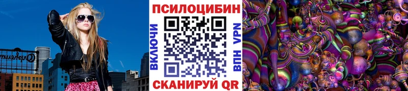 дарнет шоп  Кисловодск  Псилоцибиновые грибы ЛСД 