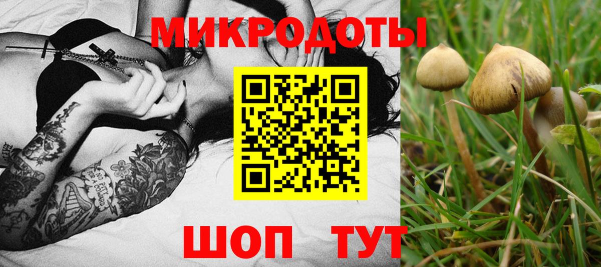 Псилоцибиновые грибы MAGIC MUSHROOMS  Вход с VPN  Кисловодск  Галлюциногенные грибы GOLDEN TEACHER 