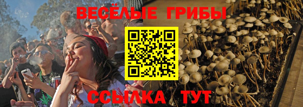 Галлюциногенные грибы Magic Shrooms Кисловодск