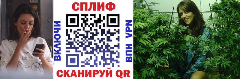 Шишки марихуана конопля Кисловодск